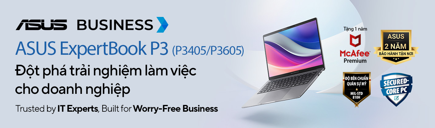 asus expertbook P3
