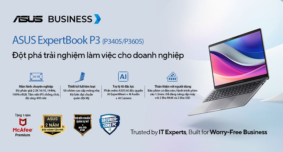 asus expertbook P3