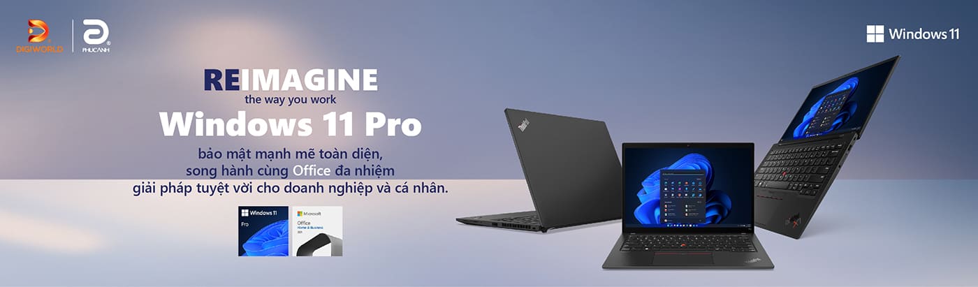 Reimagine Win 11 Pro