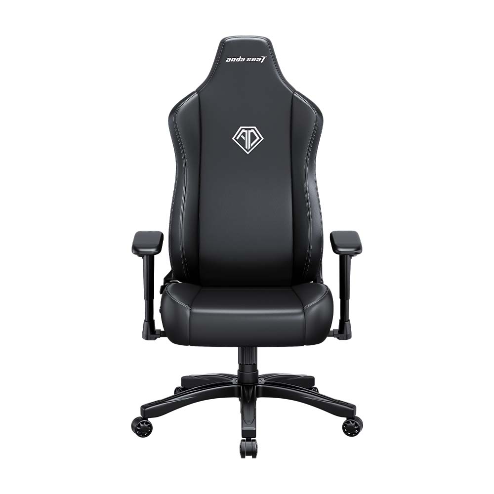 Ghế Game AndaSeat Novis AD23-L-01-B-PV 