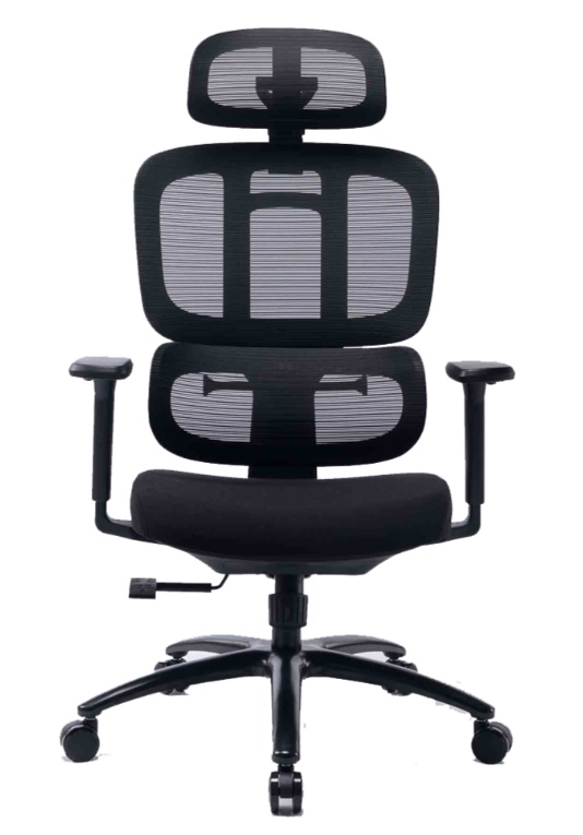 Ghế công thái học WARRIOR HERO SERIES - WEC509 Pro Black 