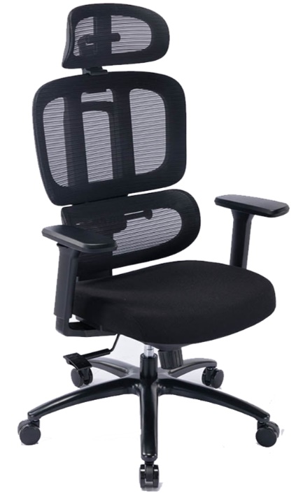 Ghế công thái học WARRIOR HERO SERIES - WEC509 Pro Black 