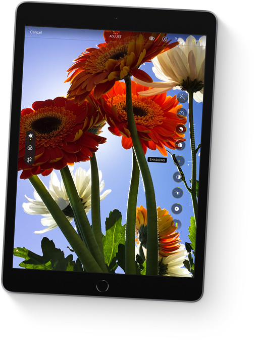 Apple iPad 10.2 inch Gen 9th WiFi + Cellular 256GB - Silver (MK4H3ZA/A)
