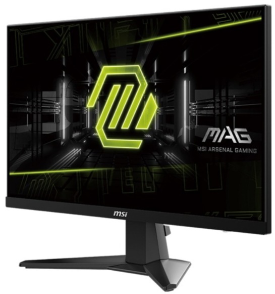 Màn hình gaming MSI MAG 256F (24.5Inch/ Full HD/ 1ms/ 180Hz/ 250cd/m2/ IPS) 