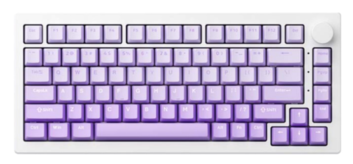B&agrave;n ph&iacute;m cơ AKKO 5075 V3 White&Purple Gradient 