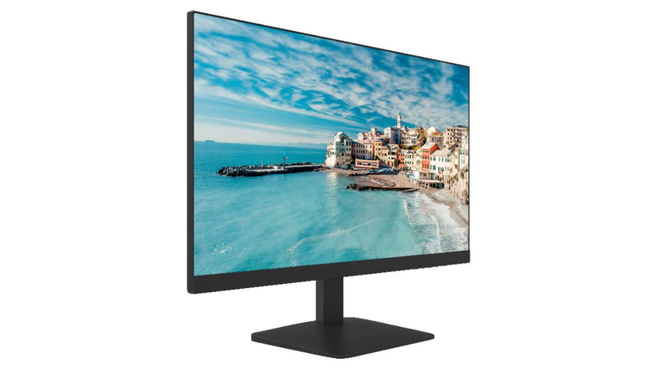 Màn hình Hikvision DS-D5024FN01 (23.8Inch/ Full HD/ 5ms/ 75HZ/ 300cd/m2/ IPS)