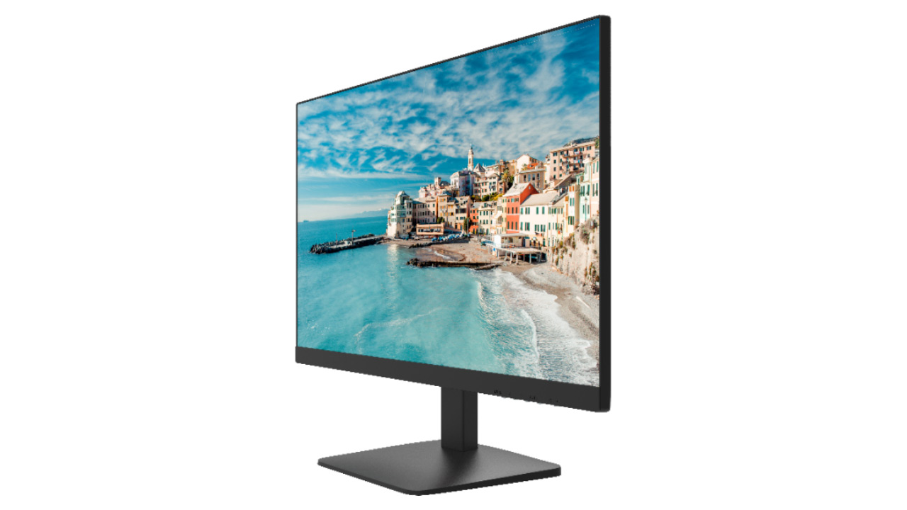 Màn hình Hikvision DS-D5024FN01 (23.8Inch/ Full HD/ 5ms/ 75HZ/ 300cd/m2/ IPS)