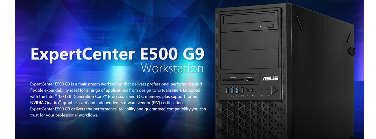 Workstation Asus E500 G9