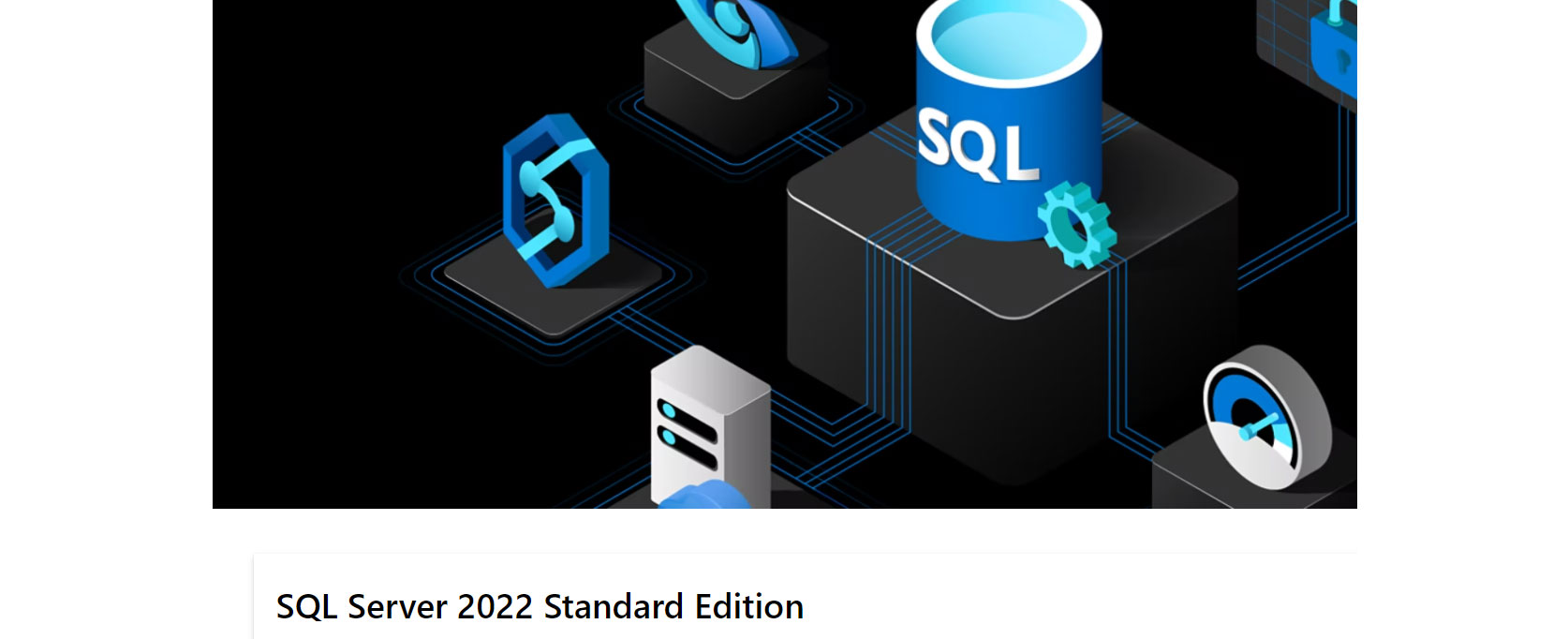 PM Microsoft SQL Server 2022 Standard Edition
