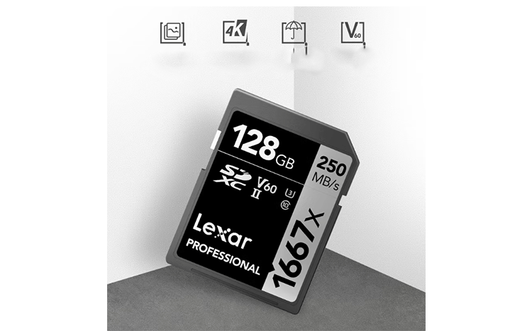 Thẻ nhớ SD Lexar Professional 1667x SDXC V30 128Gb