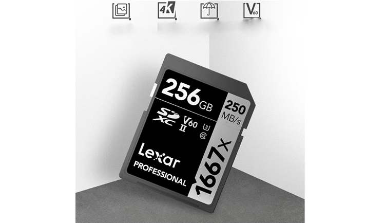 Thẻ nhớ SD Lexar Professional 1667x SDXC V30 256Gb