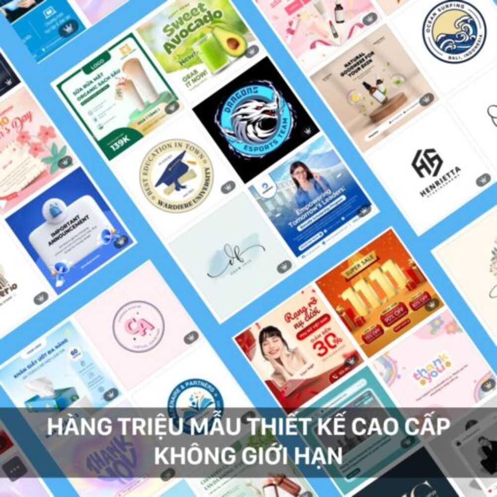 Dịch vụ trực tuyến Canva Pro (1 User/ 12 th&aacute;ng) 