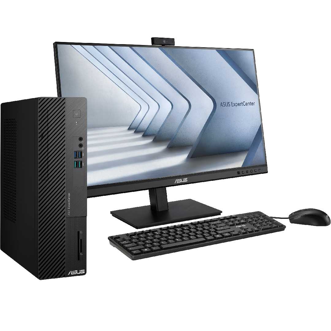 PC Asus D500SE-313100108W