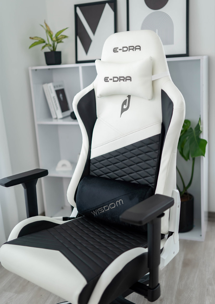 Ghế Game E-Dra Wisdom EGC231 Black White