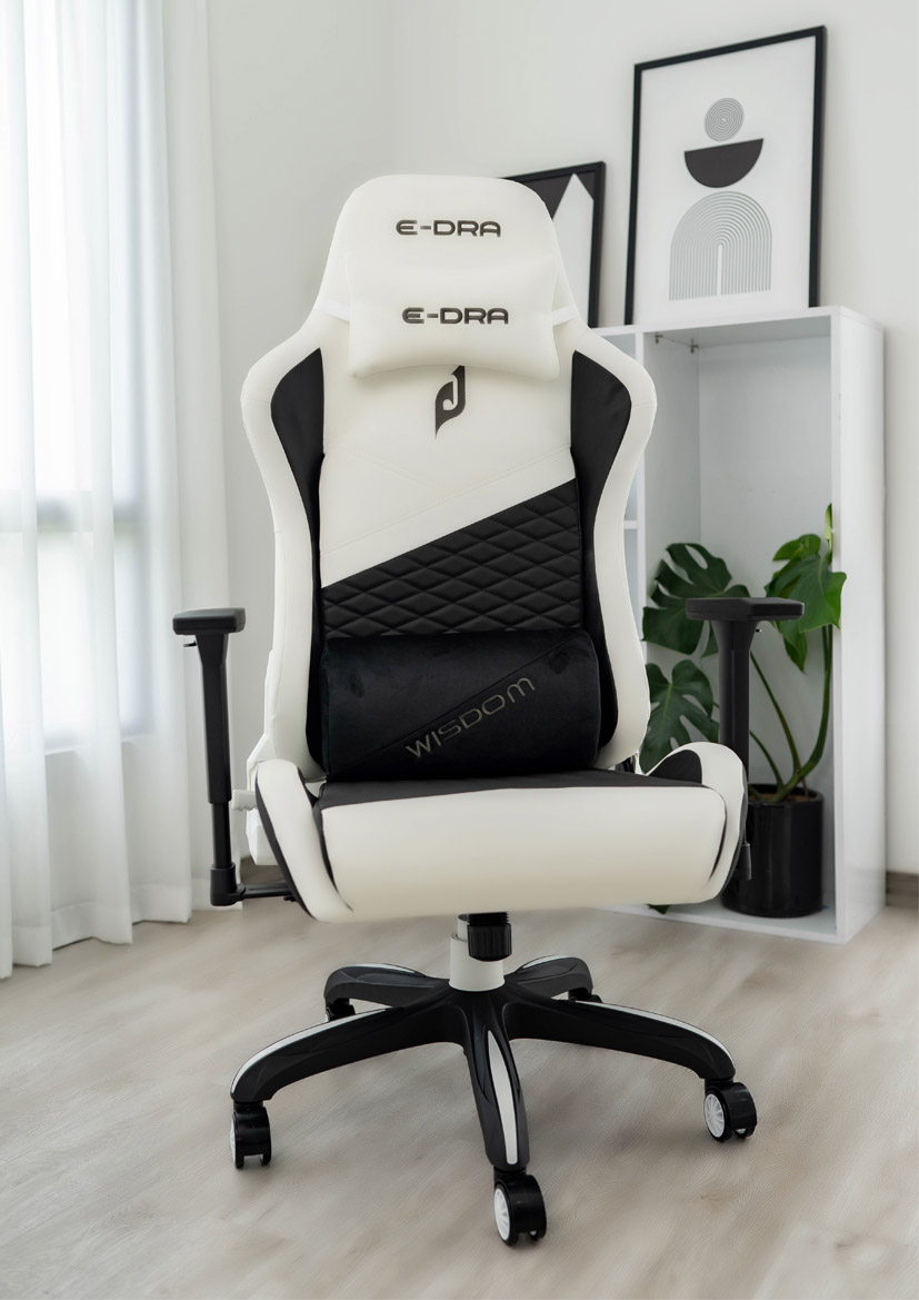 Ghế Game E-Dra Wisdom EGC231 Black White