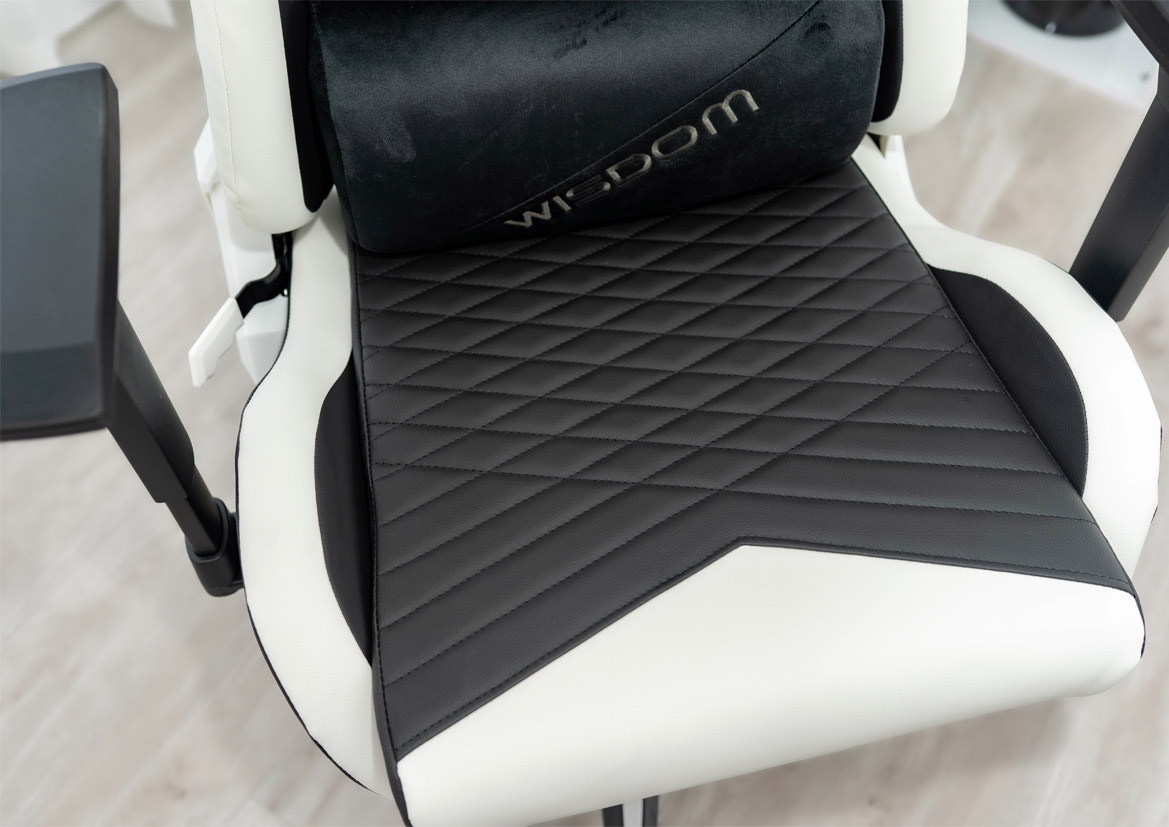 Ghế Game E-Dra Wisdom EGC231 Black White