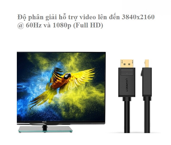 Cáp Displayport Ugreen 10245 1.5m