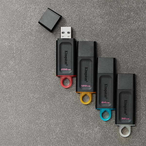 USB Kingston DTX 256Gb USB3.2