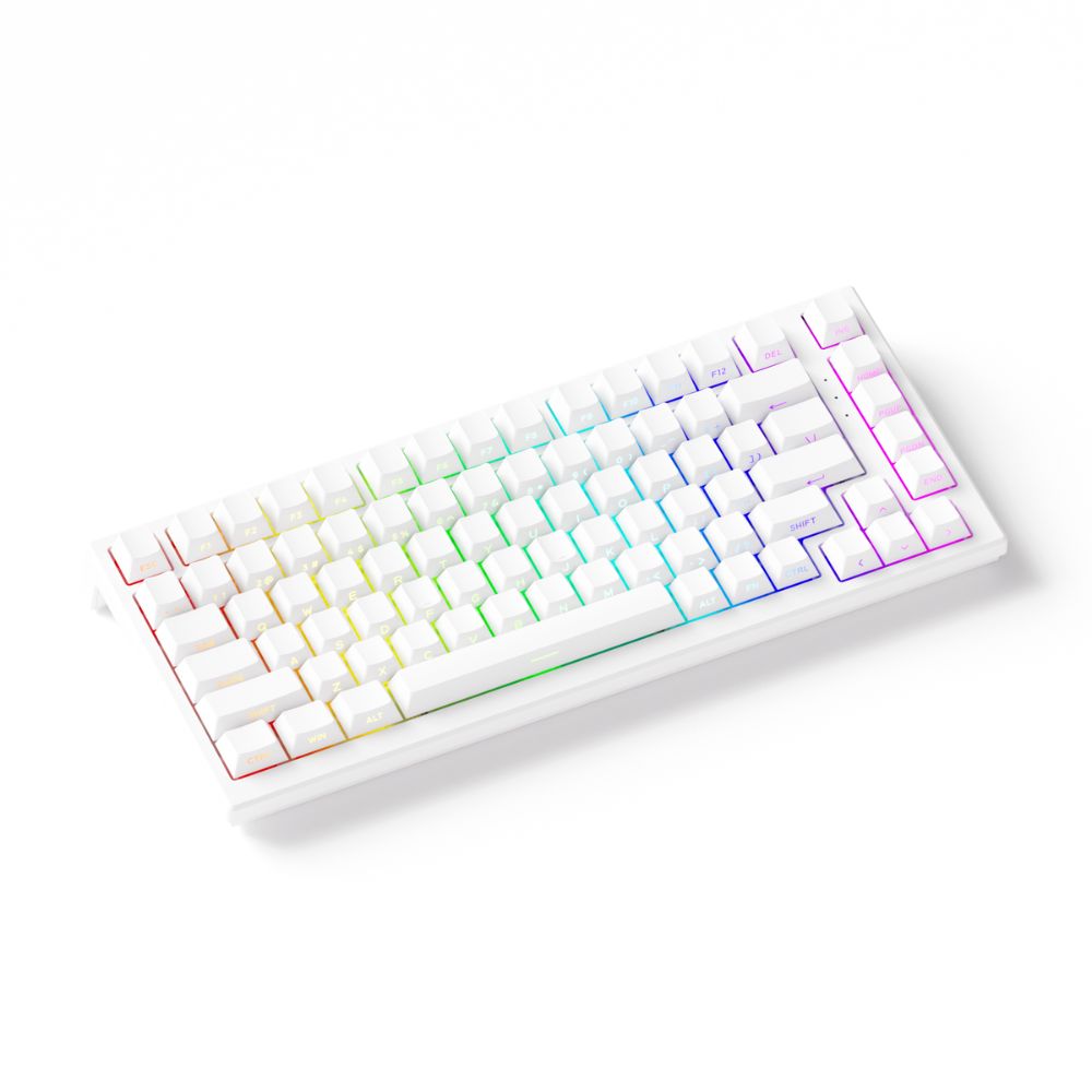 B&agrave;n ph&iacute;m cơ AKKO FUN60 Max SP White Glare Magnetic Switches (Tri-mode) 8K in 2.4G 