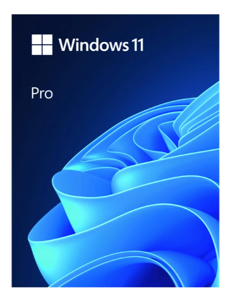 PM Microsoft Win Pro 11 64bit Eng USB HAV-00163 Full pack