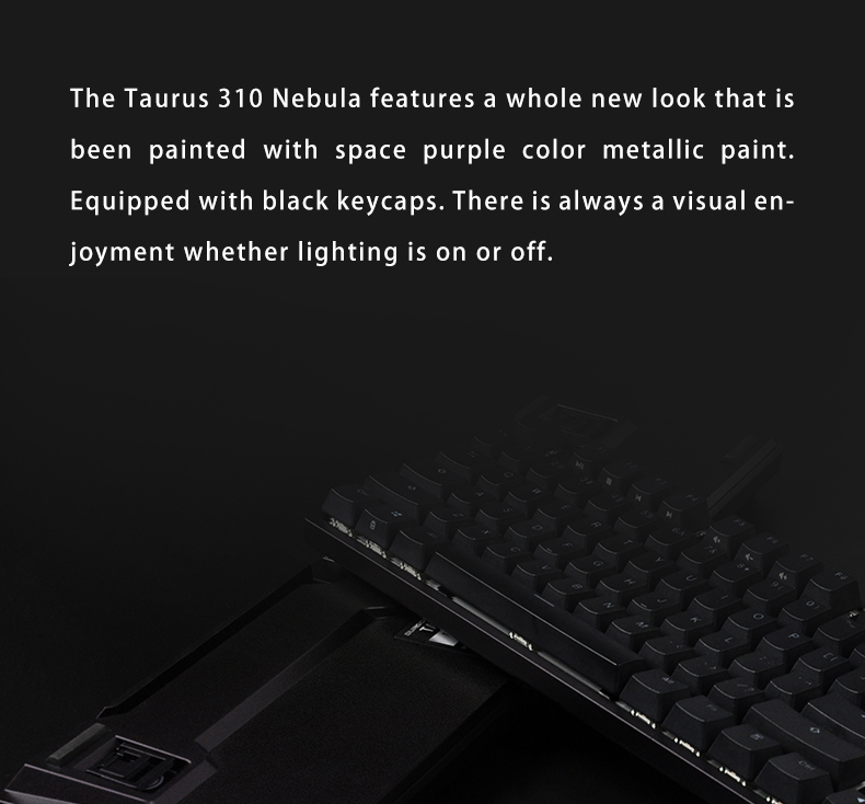 Bàn phím cơ DURGOD Taurus K310 Nebula RGB (Silver Speed Switch) (USB)