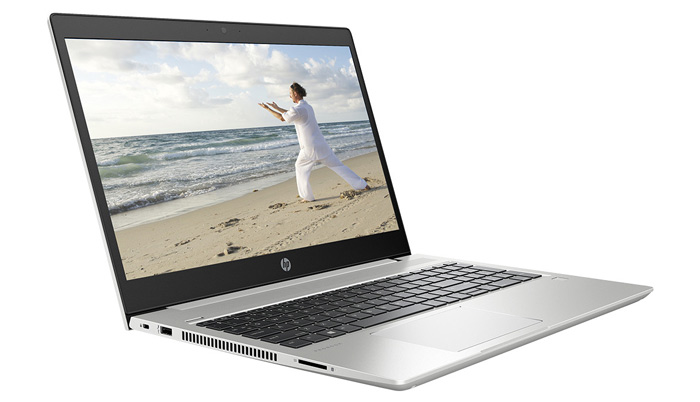 HP ProBook 455 G6-6XA63PA