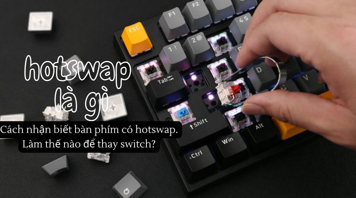 Hotswap là gì? Cách nhận biết bàn phím có hotswap. Làm thế nào để thay switch?