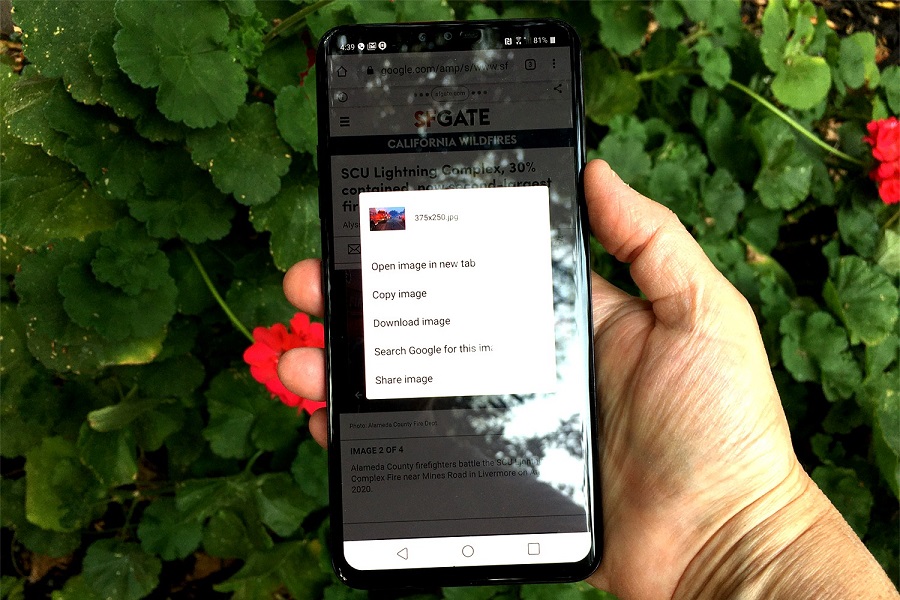 Hướng dẫn cách tìm kiếm ngược bằng hình ảnh trên Android hoặc iPhone