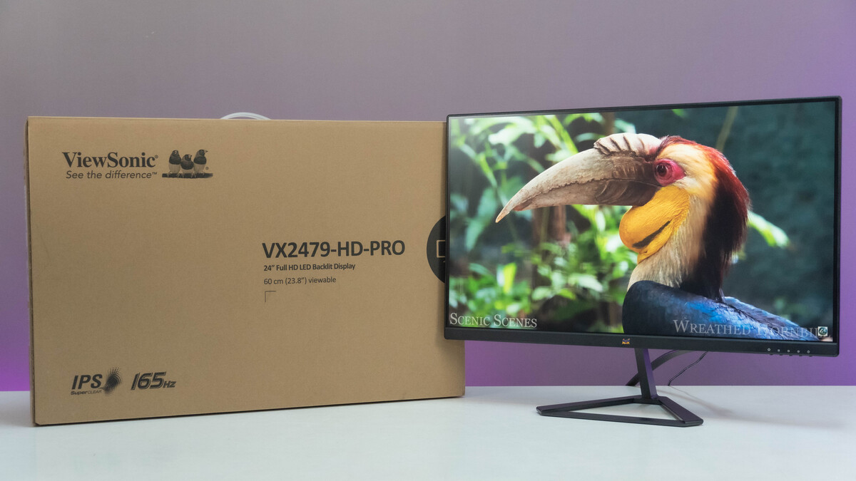 Đánh giá màn hình gaming Viewsonic VX2479 HD PRO | Phá đảo phân khúc giá dưới 3 triệu với tấm nền IPS và 180Hz
