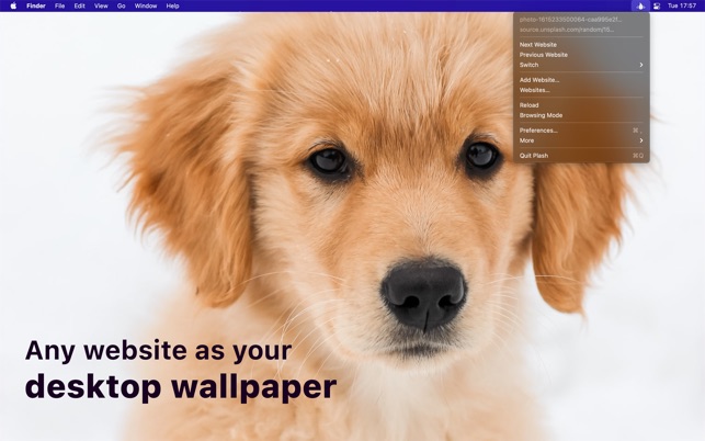 Hướng dẫn cách sử dụng Plash | Biến trang web thành hình nền cho MacBook