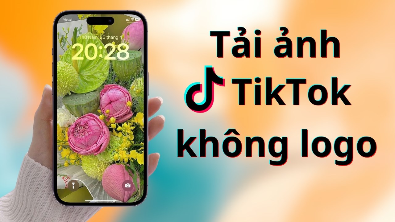 Hướng dẫn bạn cách tải ảnh TikTok không dính logo đơn giản, miễn phí