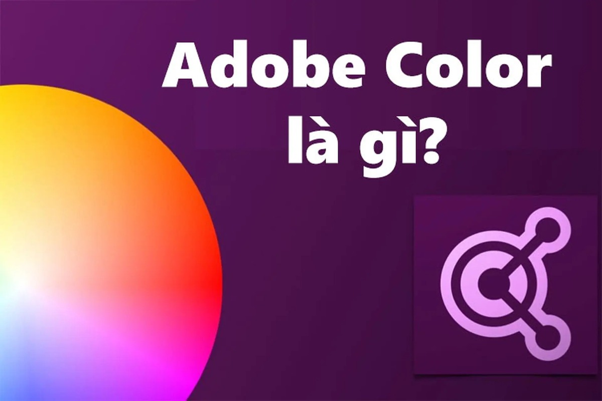 Adobe Color là gì? Công cụ phối màu miễn phí cần biết dành cho designer