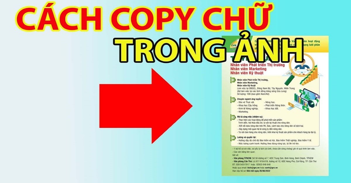 Hướng dẫn cách copy chữ trong ảnh không cần gõ lại bằng AI cực nhanh, siêu dễ