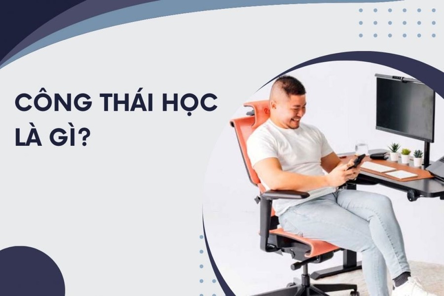 Thiết kế công thái học là gì? Công dụng và lợi ích khi sử dụng các sản phẩm công thái học