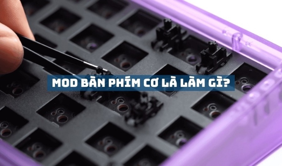 Mod bàn phím cơ là gì? Hướng dẫn và những lưu ý quan trọng khi mod bàn phím cơ