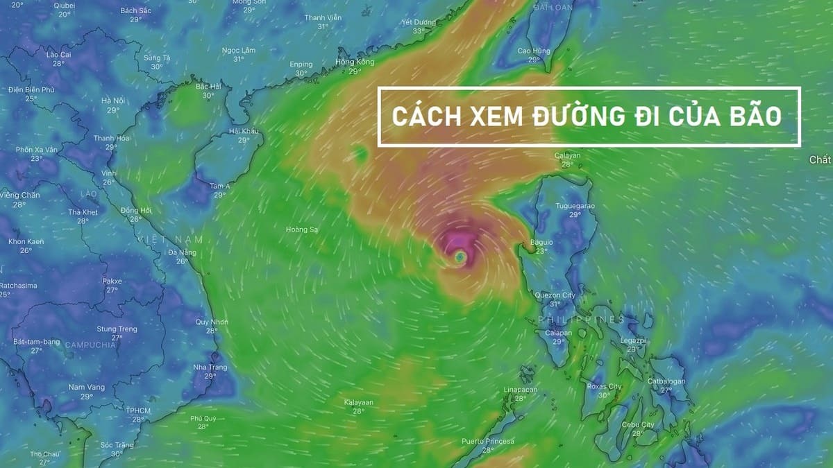 Cách xem đường đi của bão, theo dõi bão trên điện thoại, máy tính 