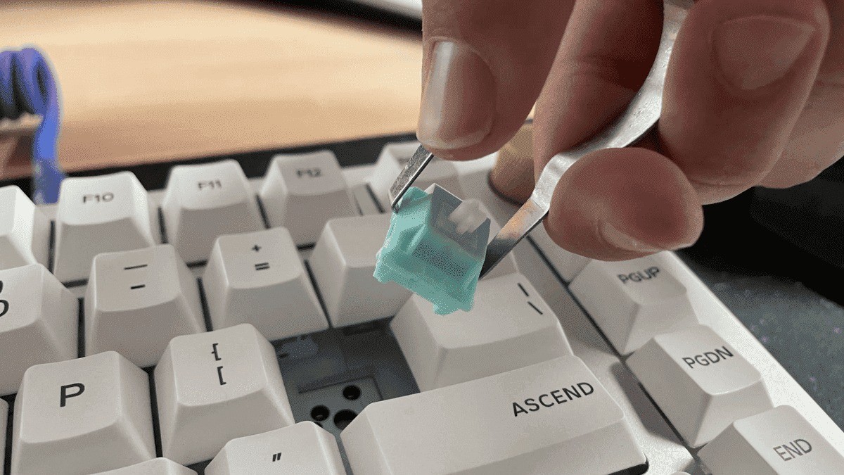 Hướng dẫn chi tiết cách thay Switch cho bàn phím cơ đúng cách tại nhà cho người mới