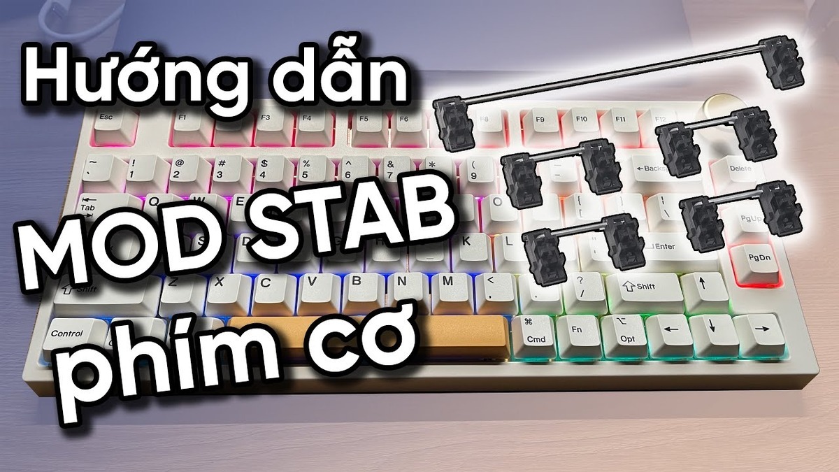 Hướng dẫn mod stab bàn phím cơ chi tiết, dễ thực hiện tại nhà cho người mới