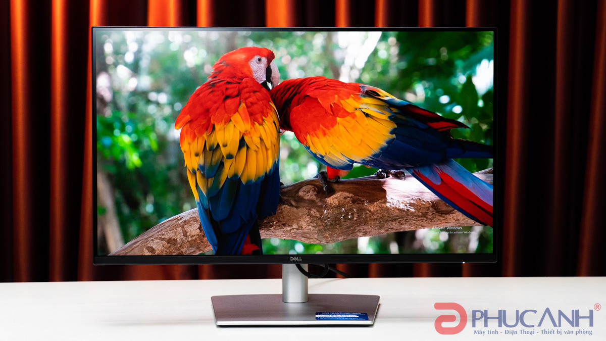 Dell Pro 24 Plus QHD P2425D – Nâng tầm góc làm việc với chất lượng hiển thị vượt trội