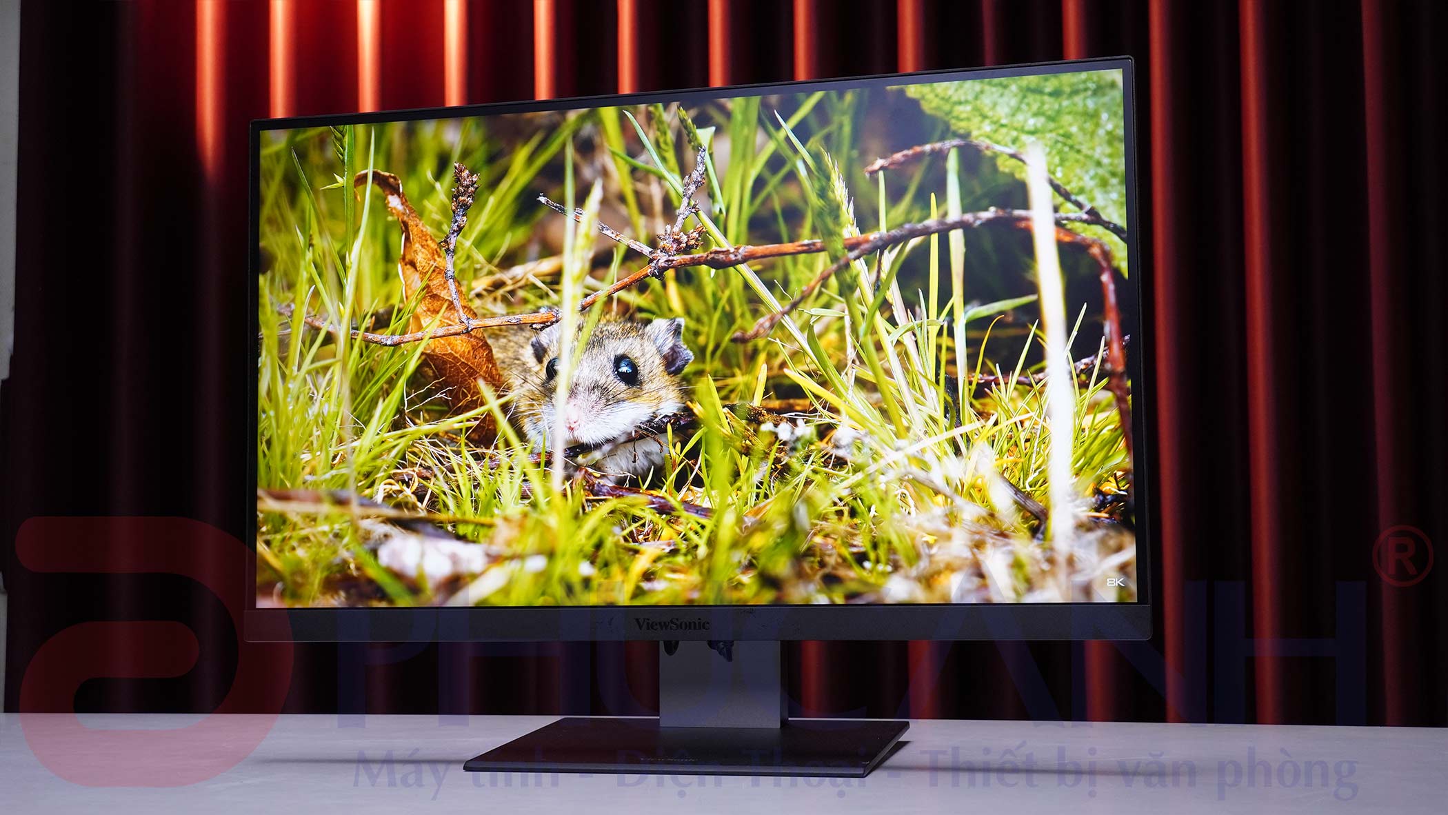 Đánh Giá ViewSonic ColorPro VP2788-5K | Siêu Phẩm Thiết Kế Đồ Họa, Cạnh Tranh Với Studio Display