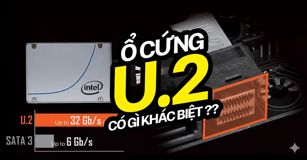 Ổ cứng U.2 là gì? Chuẩn lưu trữ hiệu năng cao cho PC hiện đại có gì đặc biệt?
