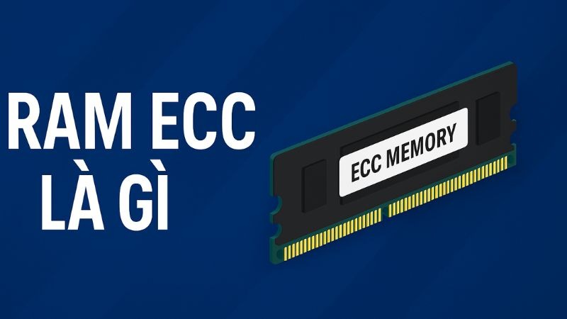 RAM ECC là gì? Có khác gì so với RAM thường?