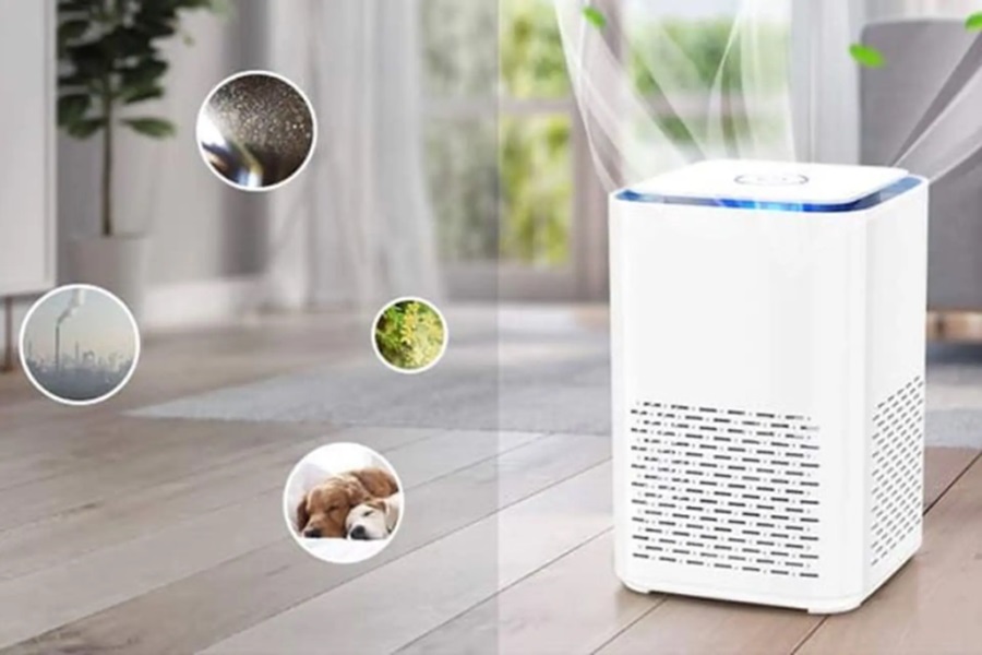 Máy hút ẩm loại nào tốt 2026? Top 5 máy hút ẩm bán chạy, đáng mua nhất