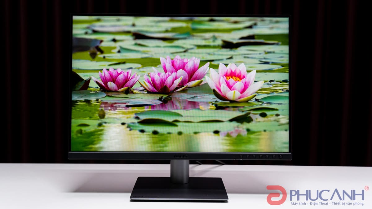 ASUS ProArt PA248QFV – Màn hình chuẩn màu dành cho dân sáng tạo nội dung