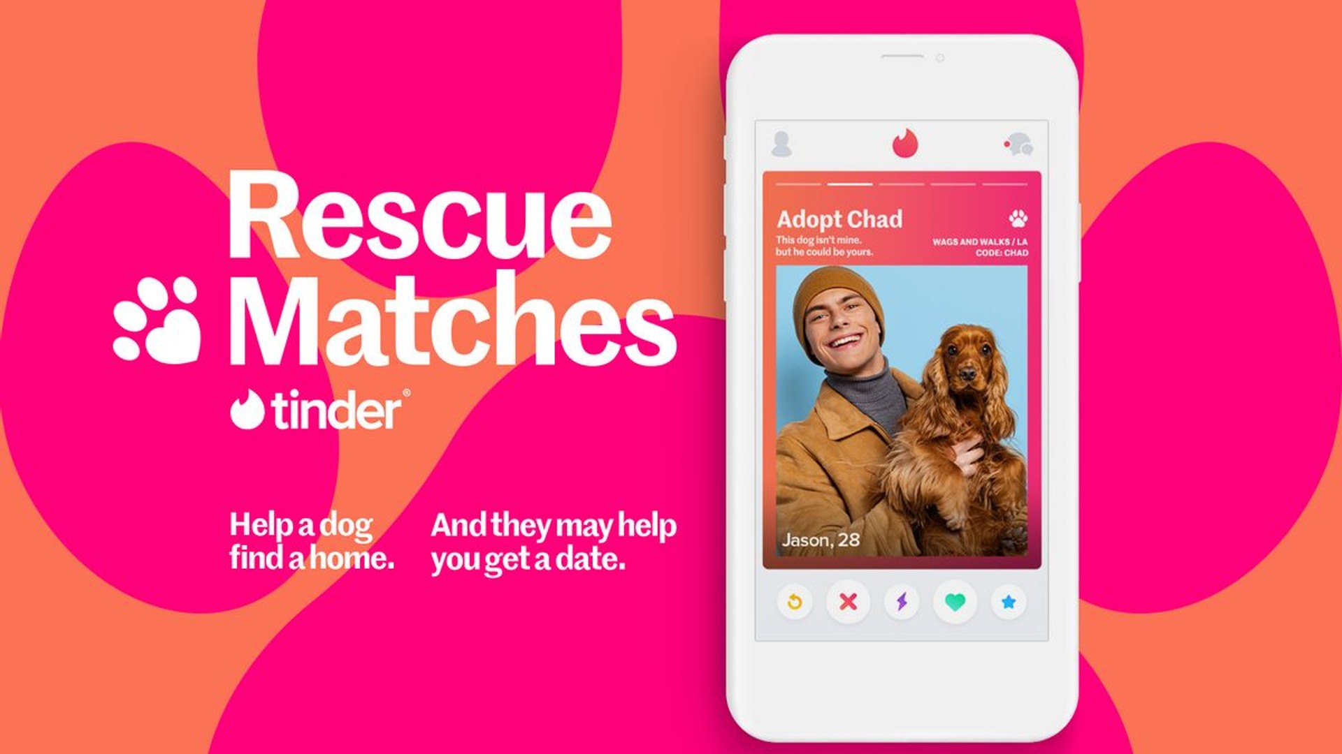 Tinder tại Mỹ cho phép người dùng tìm kiếm chó cưng