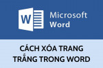 Hướng dẫn bạn chi tiết cách xóa trang trong Word