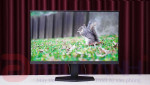Đánh Giá Màn hình gaming AOC 24G11ZE | Dưới 3 Triệu Cho Màn Hình 240Hz