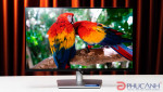 Dell Pro 24 Plus QHD P2425D – Nâng tầm góc làm việc với chất lượng hiển thị vượt trội