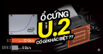 Ổ cứng U.2 là gì? Chuẩn lưu trữ hiệu năng cao cho PC hiện đại có gì đặc biệt?