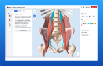 Cách tạo mô hình 3D môn Khoa học tự nhiên bằng BioDigital Human chi tiết từ A-Z